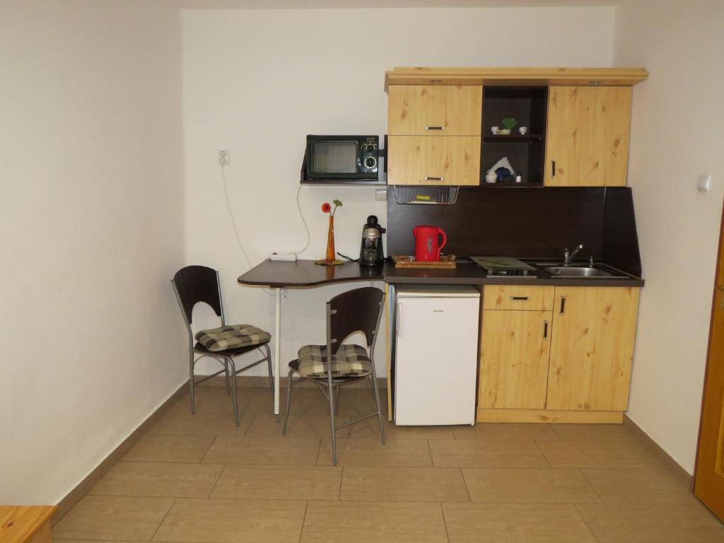 Kuchyň nebo kuchyňský kout v ubytování Luxus Tanya