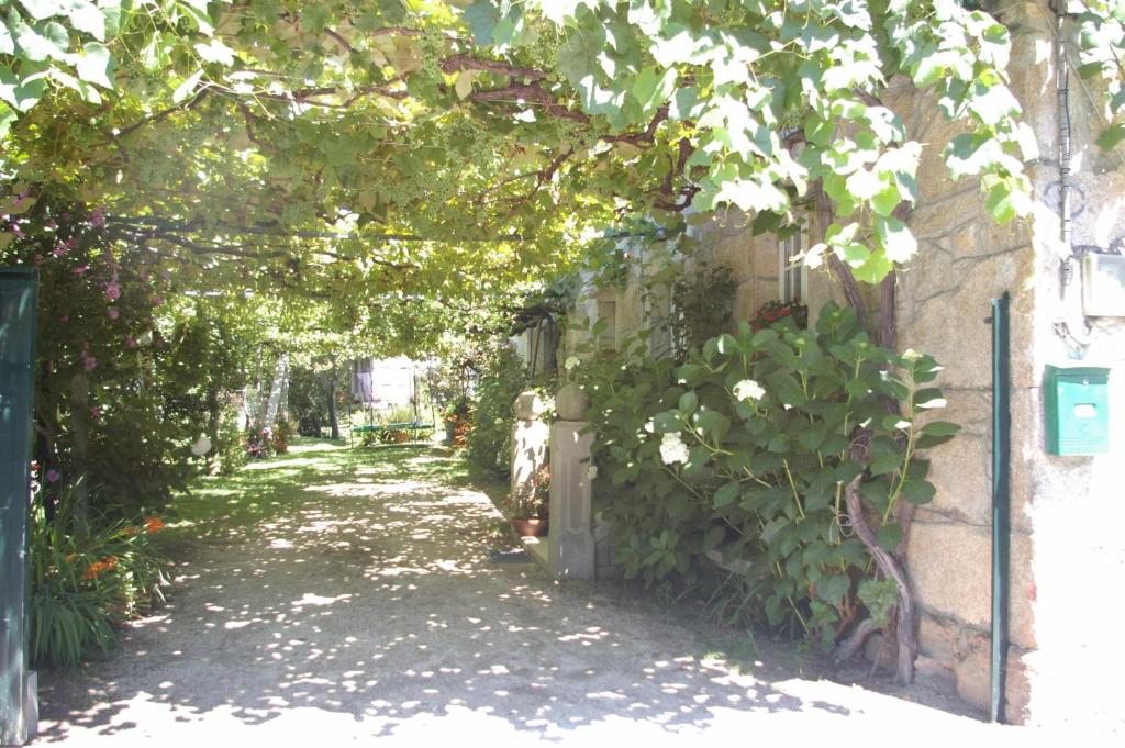 um beco com plantas e um edifício com uma cerca em Vivienda tradicional con jardín y patio interior em Vilanova de Arousa