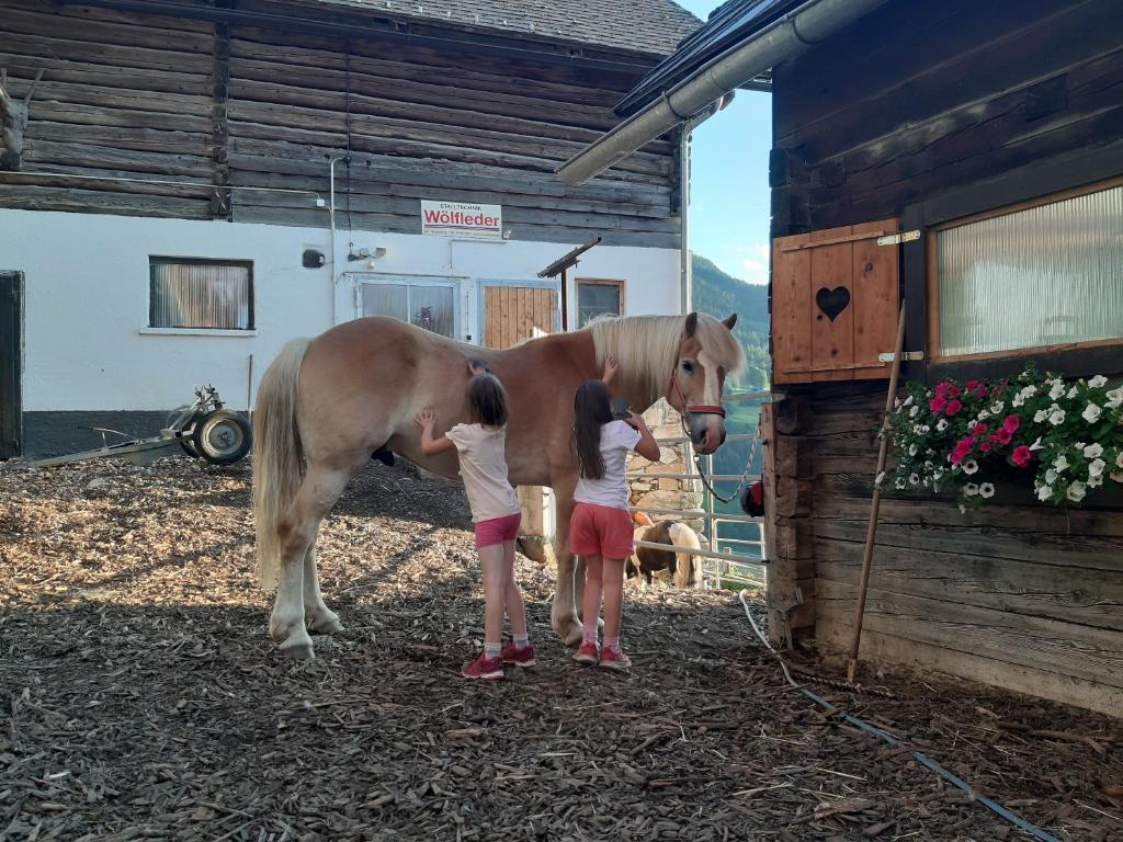 Zvířata v farmy nebo okolí