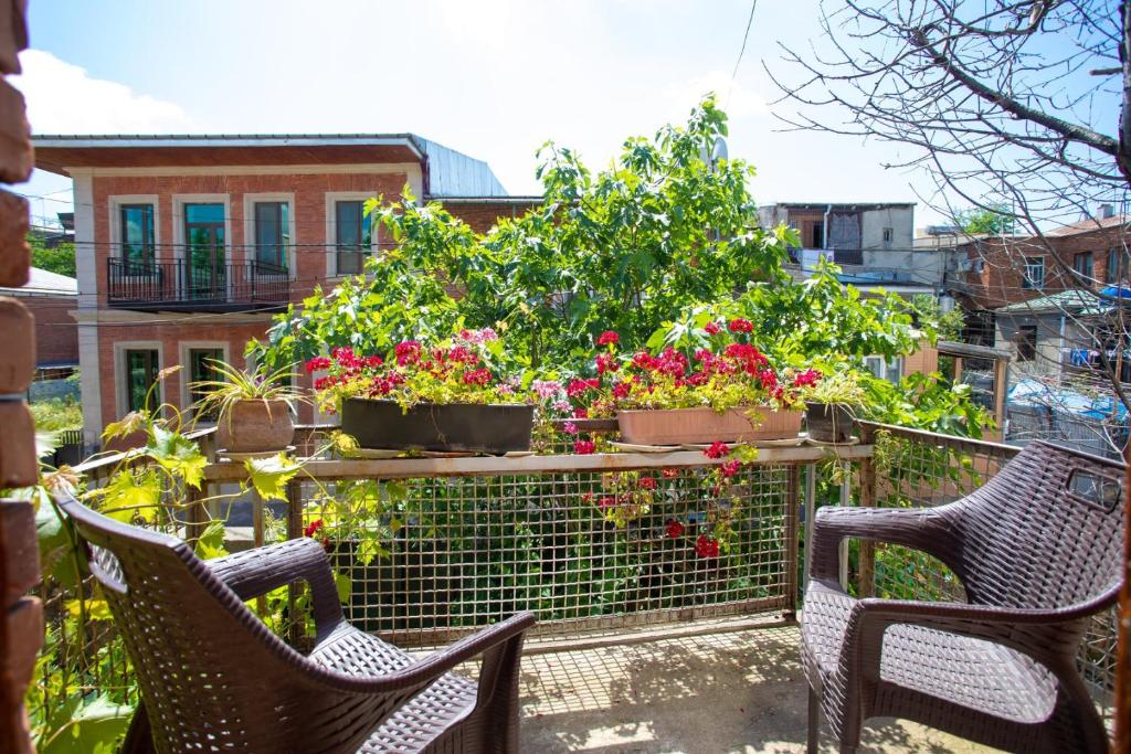 Zahrada ubytování HOTEL VENETO