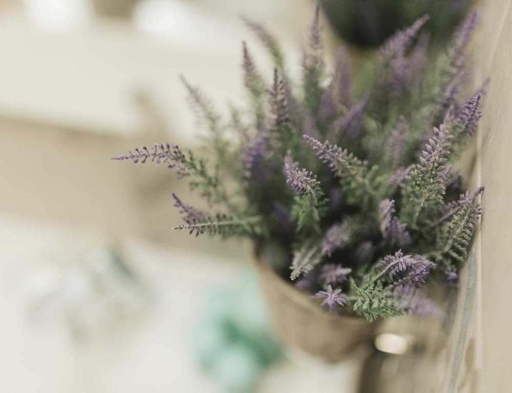 Giulietta nei Sassi - 4