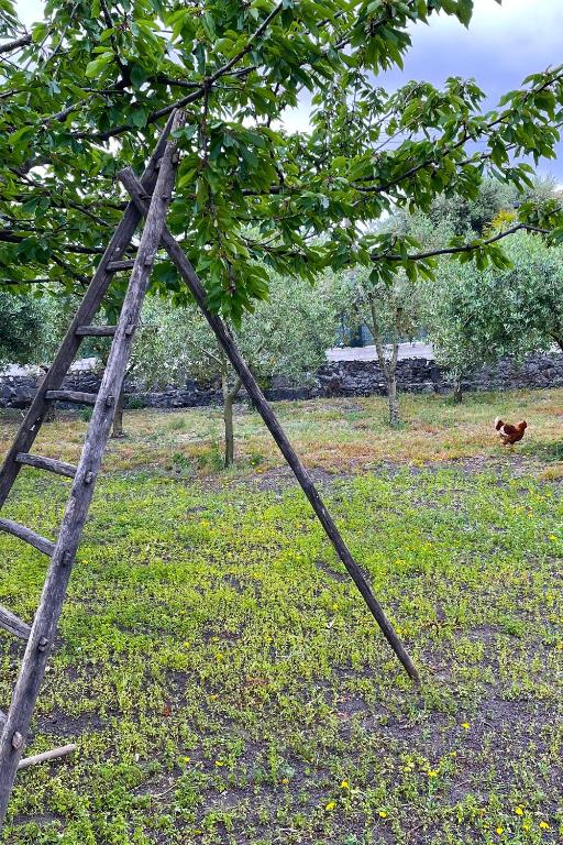 Zahrada ubytování B&B Dimora di Campagna "alle falde del Vesuvio"