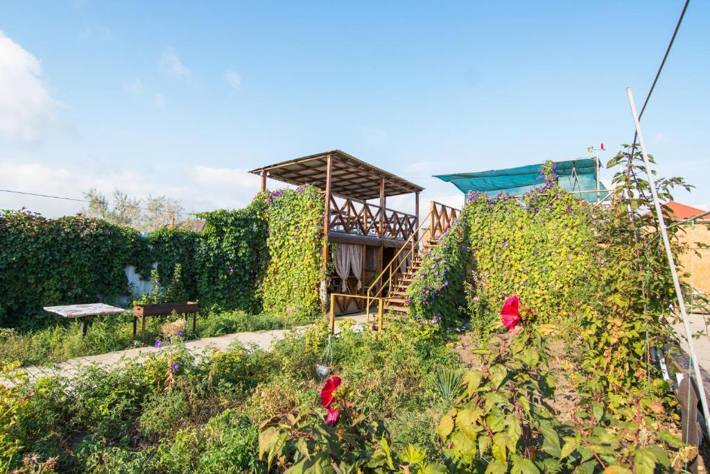a house on top of a hill with red flowers at Hotel Yuzhanka in Sanzhiyka