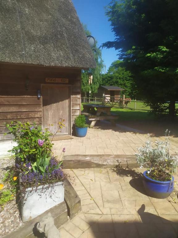 Yew Tree Barn - Vakantiehuis