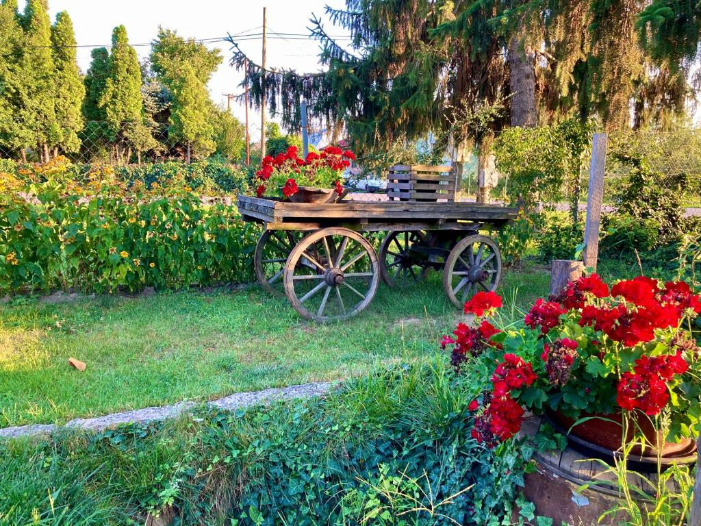Imagine din galeria proprietății Ubytovanie u Aranky în Čierna nad Tisou