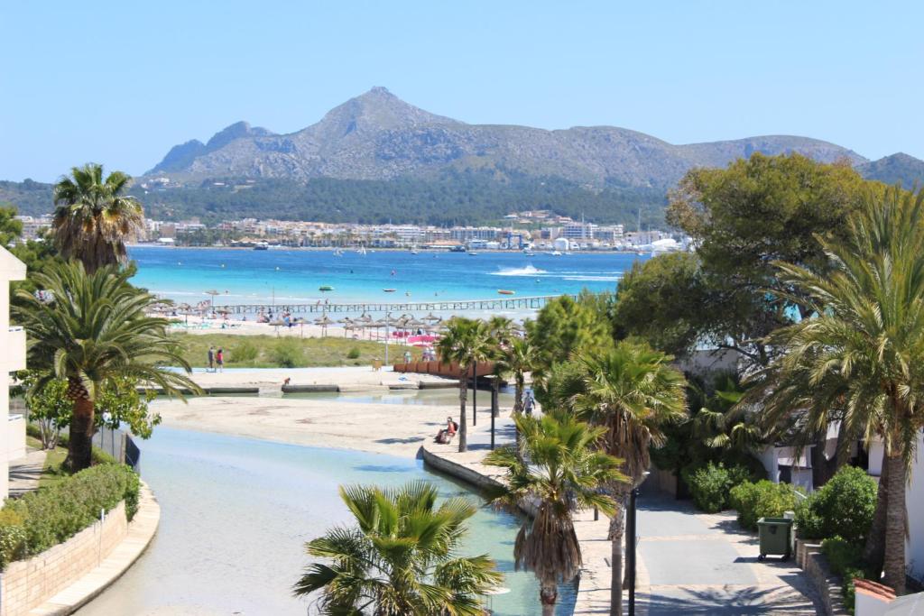 vistas a una playa con palmeras en Apartamentos venecia a unos pasos de la playa, en Puerto de Alcudia