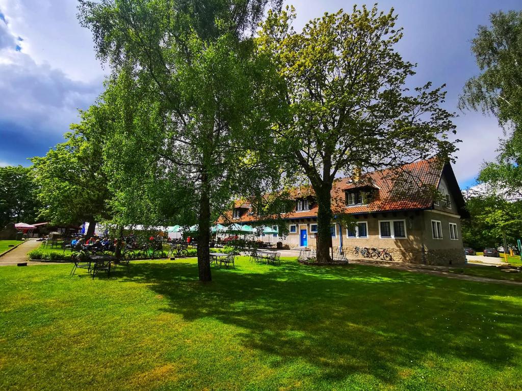 a building with a tree in a grass field at Penzion Landštejnský dvůr in Slavonice