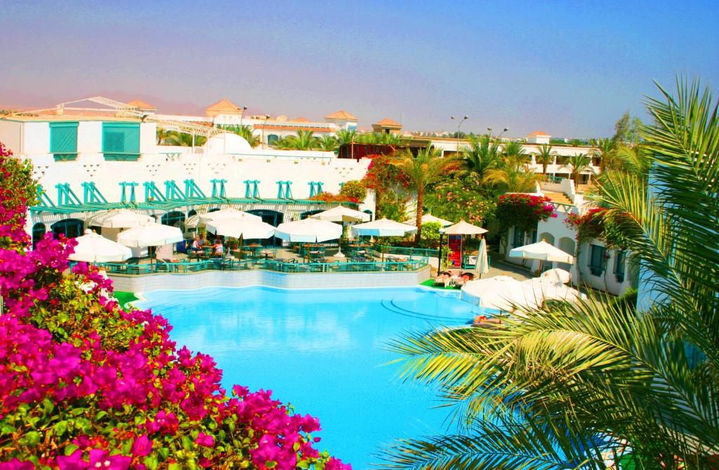 un complejo con piscina y algunas flores rosas en Falcon Hills Hotel, en Sharm El Sheikh