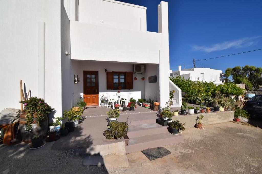 a white house with potted plants in front of it at Katiana's House in Aliki