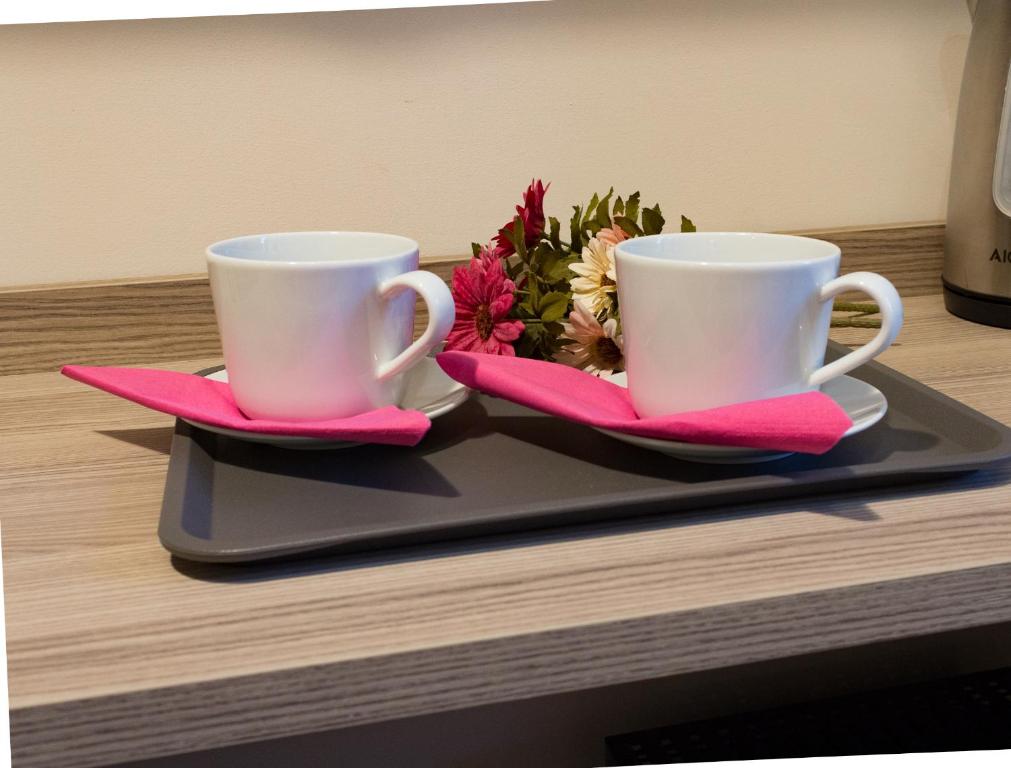 Zestaw do parzenia kawy i herbaty w obiekcie Caffarella Vacanze