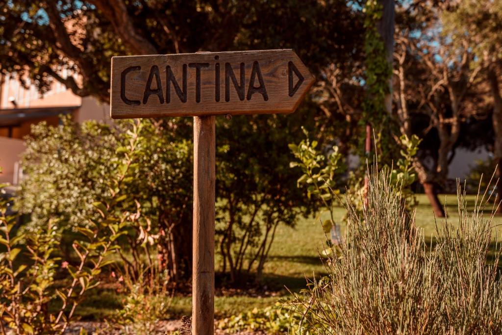 Zahrada ubytování La Vinia Bed&Wine Experience - Adults Only