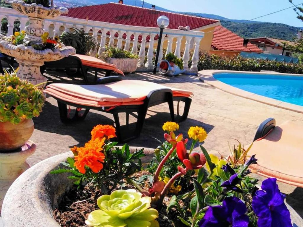 a patio with a pool and a table and flowers at La finestra sul mare in Budoni