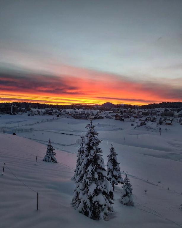 a winter sunset with snow covered trees in a field at Petrovača in Žabljak