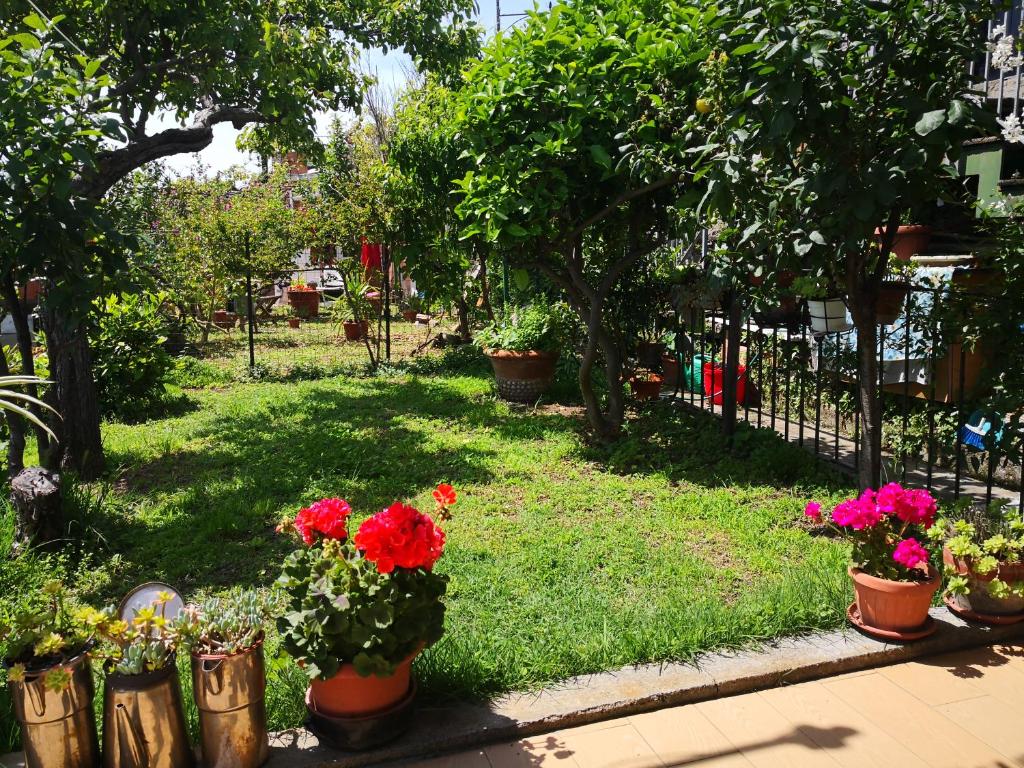 un jardin avec des fleurs en pots sur l'herbe dans l'établissement Il nido dei Gabbiani, à Portovenere