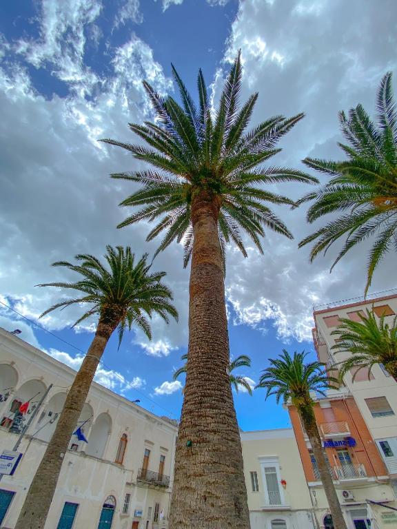 Fotografie z fotogalerie ubytování D'Angiò Rooms-Manfredi Homes&Villas v destinaci Manfredonia