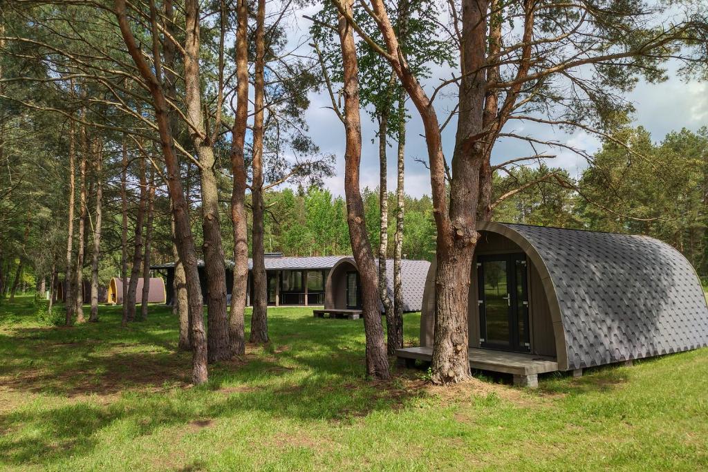 ein Haus in einem Wald mit einem Metalldach in der Unterkunft Natur Camp Birštonas in Birštonas