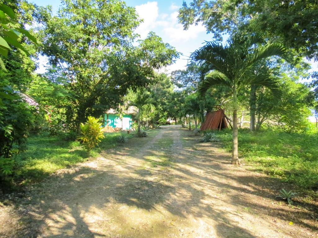 Zahrada ubytování Cabañas Calakmul