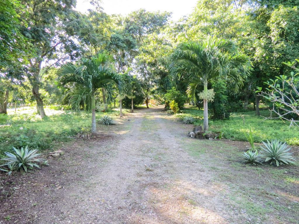 Zahrada ubytování Cabañas Calakmul