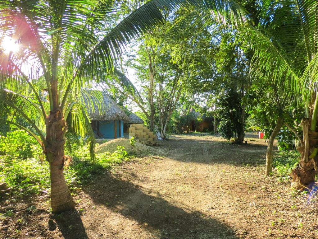 Zahrada ubytování Cabañas Calakmul