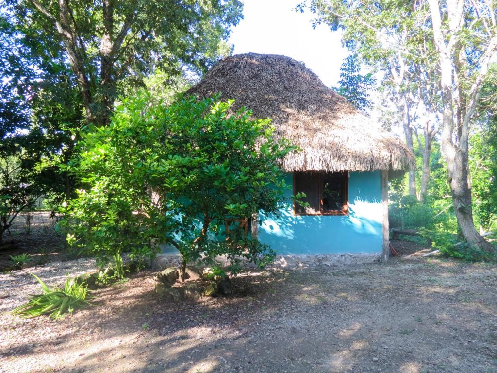 Zahrada ubytování Cabañas Calakmul
