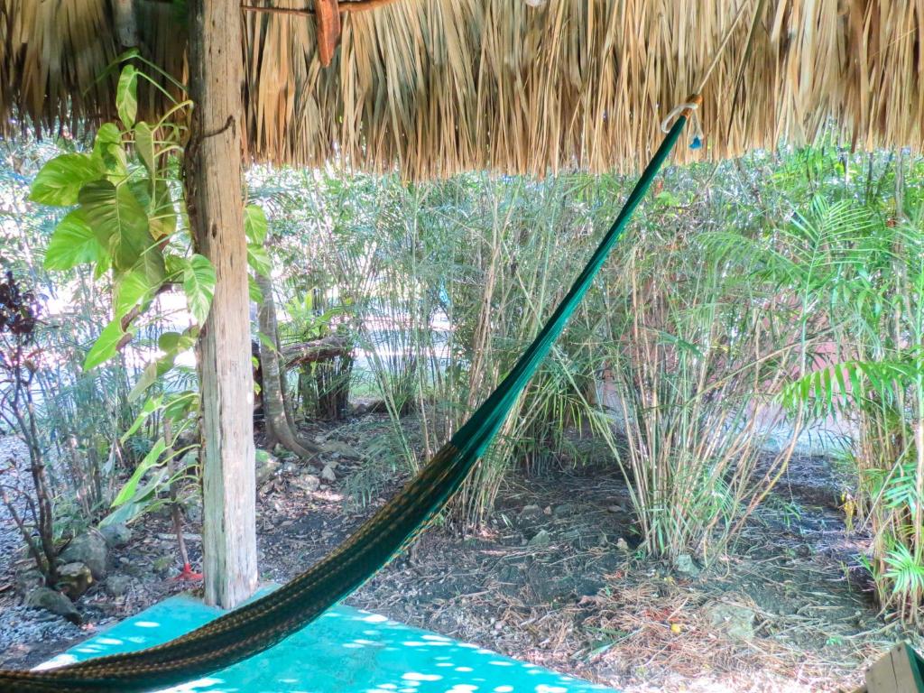 Zahrada ubytování Cabañas Calakmul
