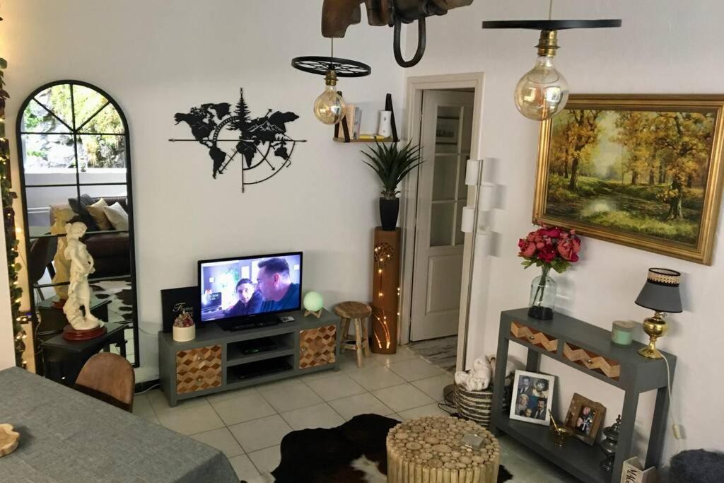 sala de estar con TV y sofá en Cocon de la Vallée d'Ossau , Véritable Havre de paix - 4 à 6 pers en Eaux-Bonnes