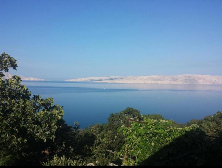 a view of a large body of water with trees at Milojka in Senj