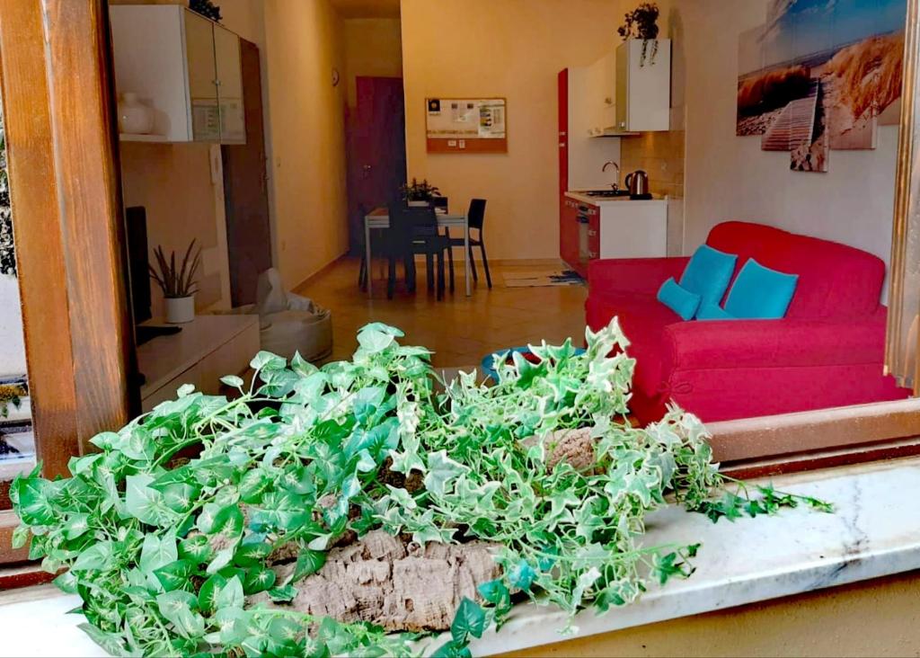 アルゲーロにあるBrisa Marina apartmentのリビングルーム(赤いソファ、緑の植物付)