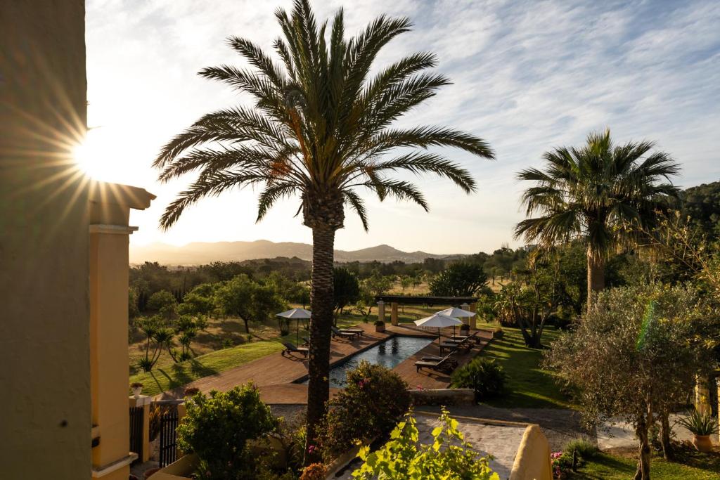 een palmboom en een zwembad in een resort bij LAS MARIPOSAS in San Antonio