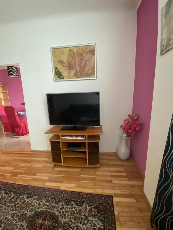 Televízia a/alebo spoločenská miestnosť v ubytovaní Apartment Domino
