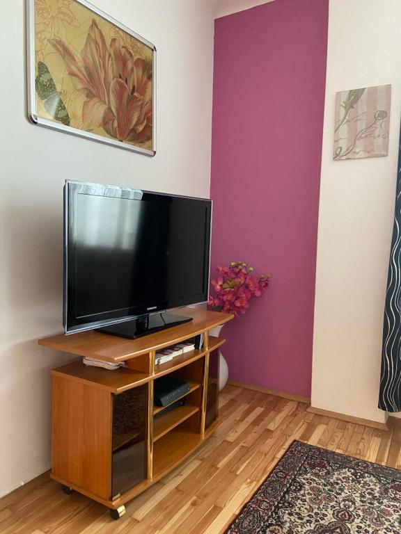 Televízia a/alebo spoločenská miestnosť v ubytovaní Apartment Domino