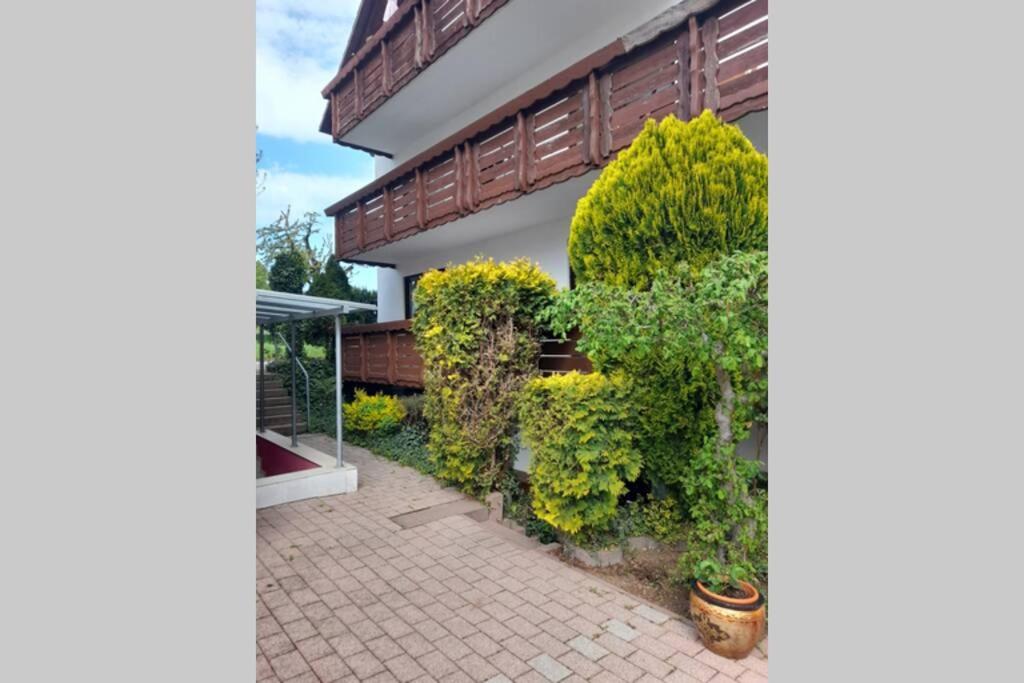 a building with a bunch of bushes next to a sidewalk at Souterrain Wohnung in Bensheim in Bensheim