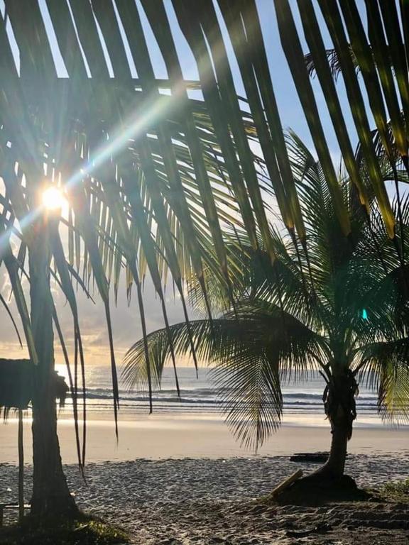  Lazulli Village Praia Ilhéus Bahia