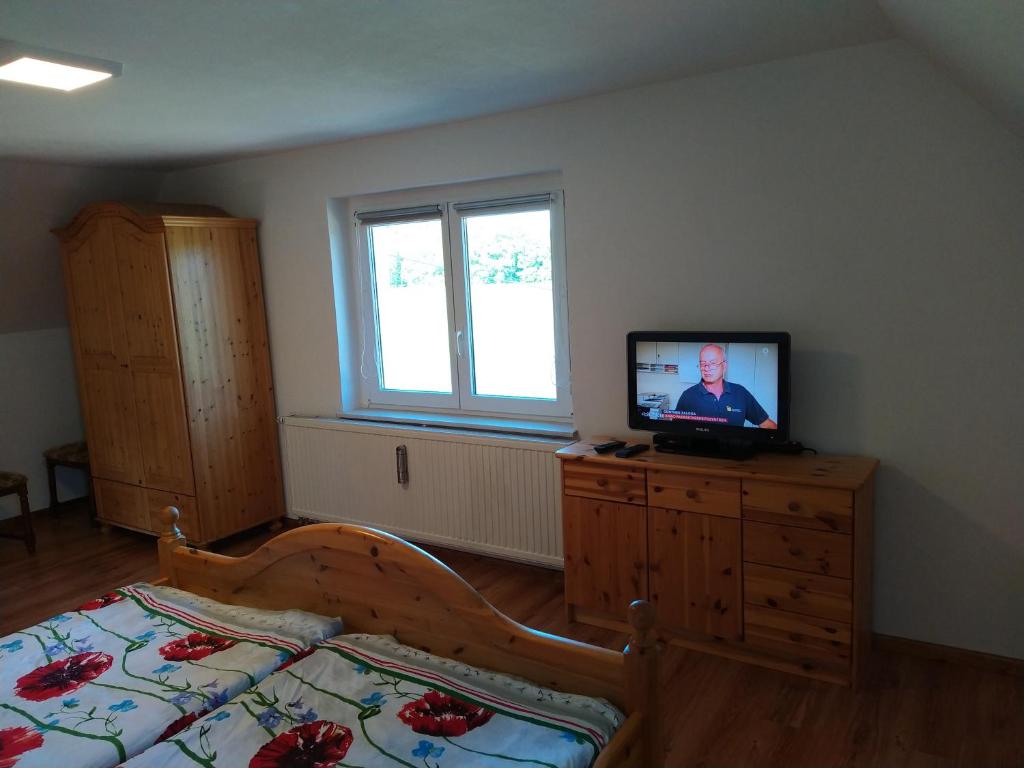 TV a/nebo společenská místnost v ubytování Ferienhaus Ebenheit am Lilienstein
