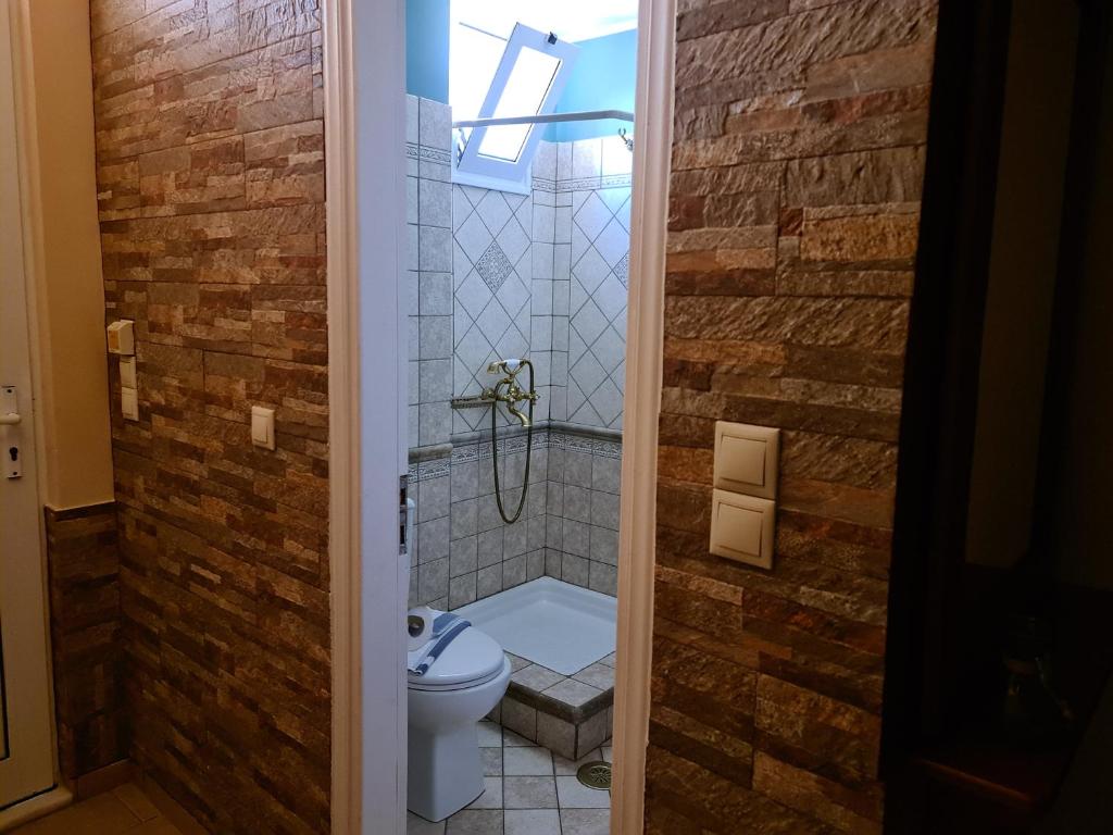 a bathroom with a shower and a toilet at Edem Studios in Syvota
