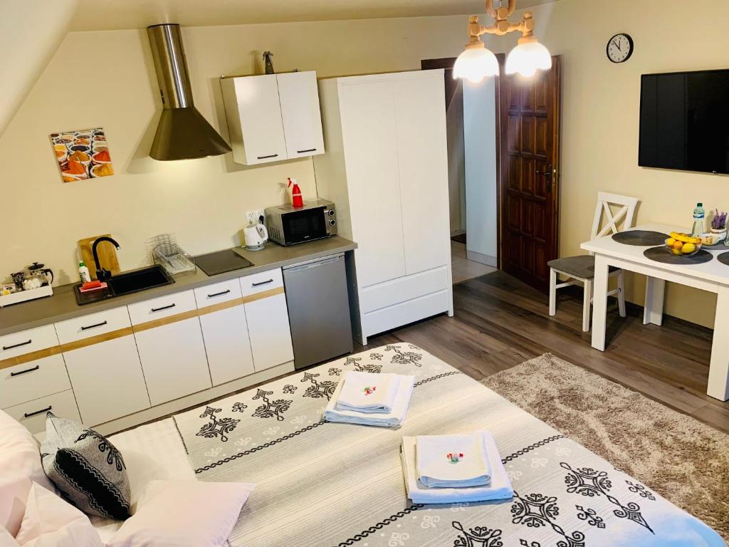 Kuchyň nebo kuchyňský kout v ubytování Apartamenty u Magika