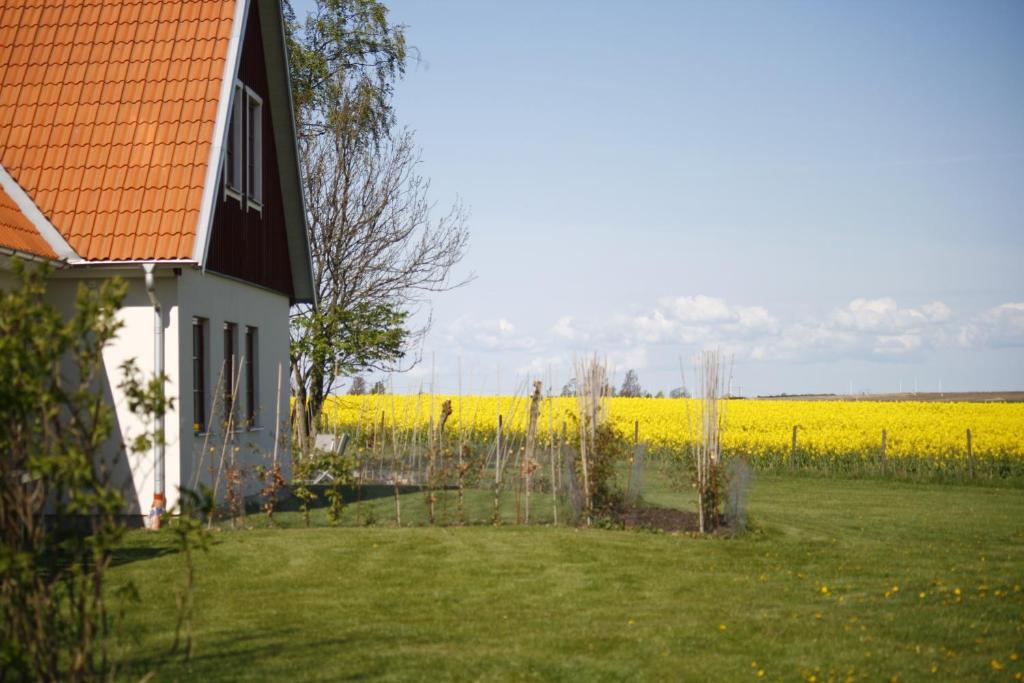 Zahrada ubytování Hobykrok B&B