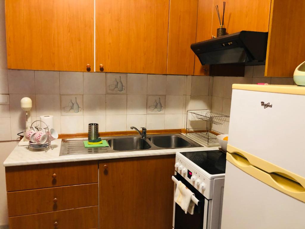 Kuchyň nebo kuchyňský kout v ubytování Mina Apartments Nea Kallikrateia