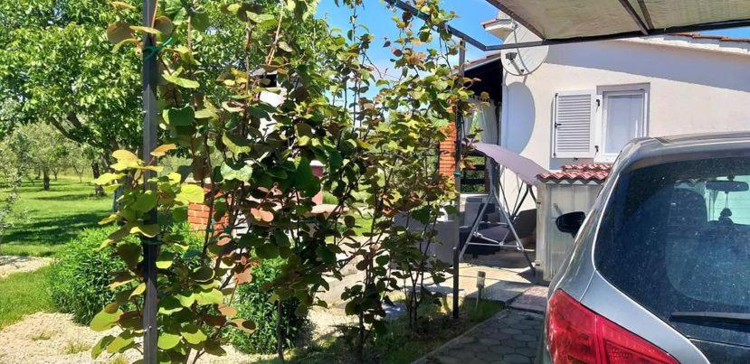 Zahrada ubytování Holiday Home Ulika