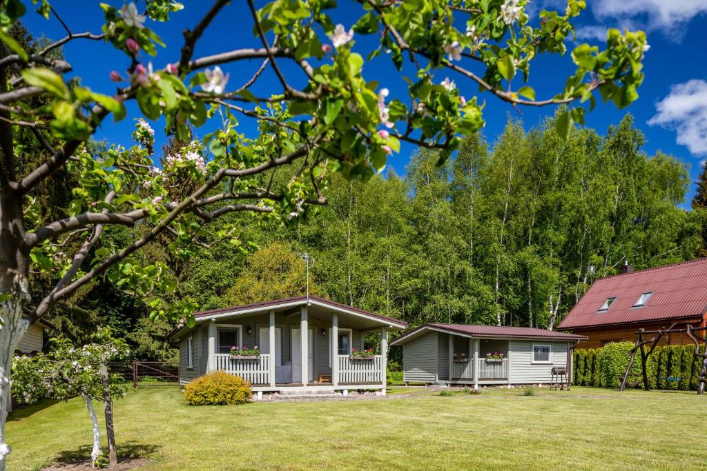 a house with a yard and trees in the background at Nameliai pas Jolita in Palanga