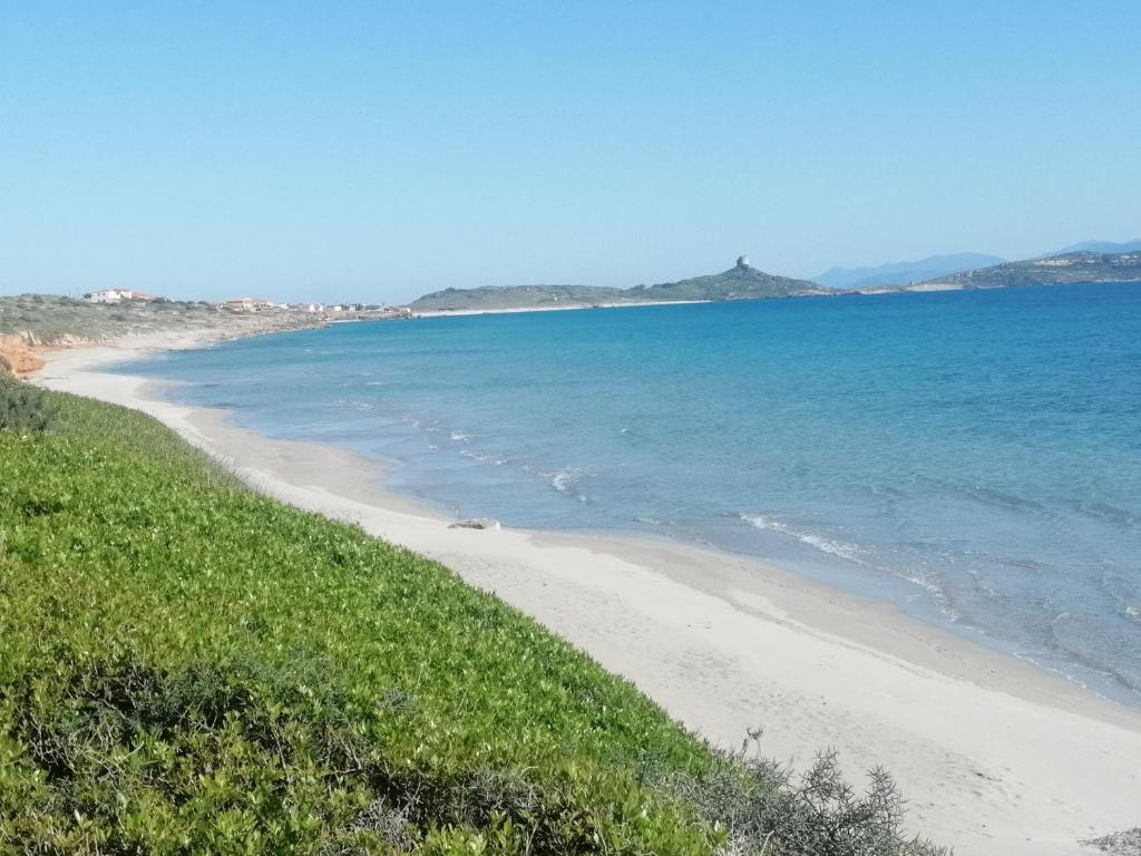 a beach with grass and the ocean in the background at Casa Contadina in Oristano