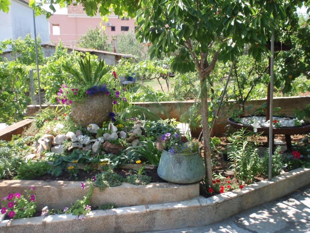 Vonkajšia záhrada v ubytovaní Apartment in Kukljica with sea view, terrace, air conditioning, Wi-Fi (4567-1)