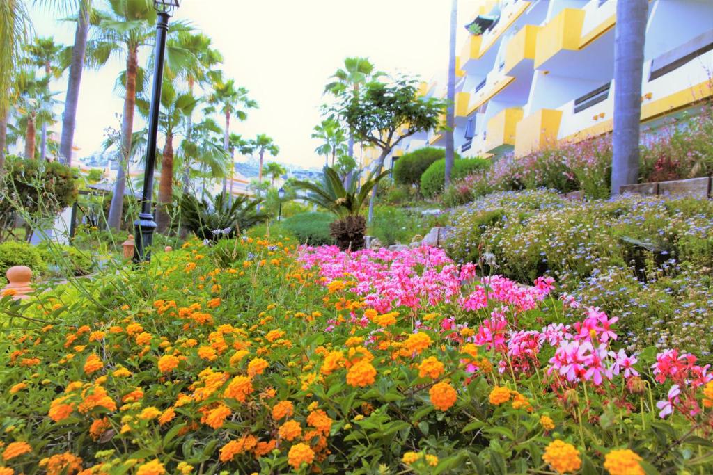 Fotografia z galérie ubytovania Cala del Sol - Premium Apartment v destinácii Mijas Costa