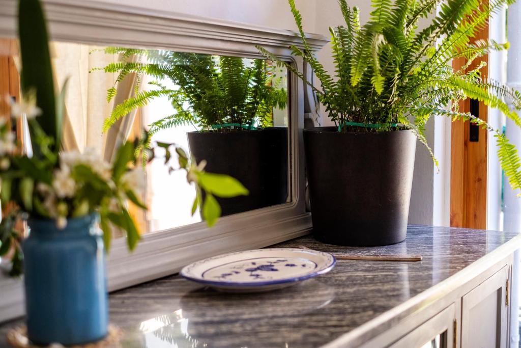 Fotografie z fotogalerie ubytování Casa Mercado Sineu Blue v destinaci Sineu