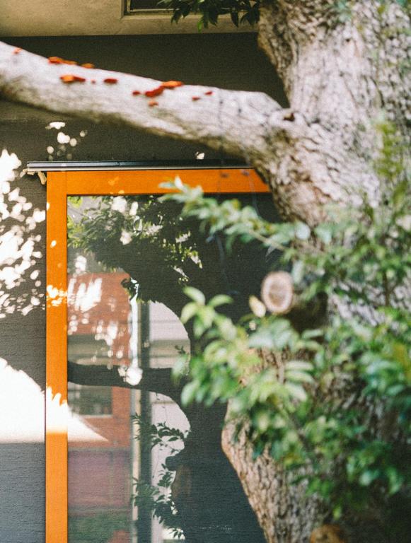Fotografie z fotogalerie ubytování treeside v destinaci Jugawara