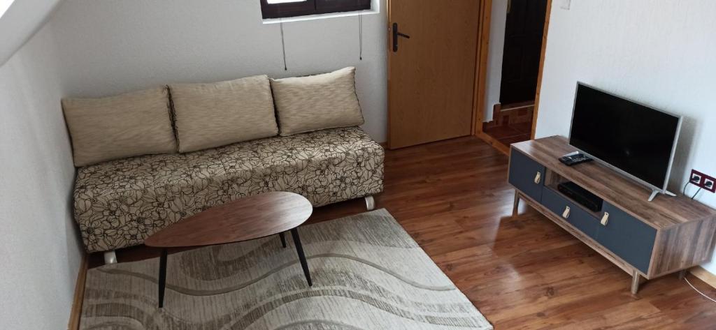 TV a/nebo společenská místnost v ubytování Apartment and rooms D&J