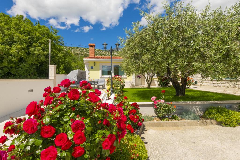 a group of red flowers in a garden at Holiday Home Maslina in Tugare