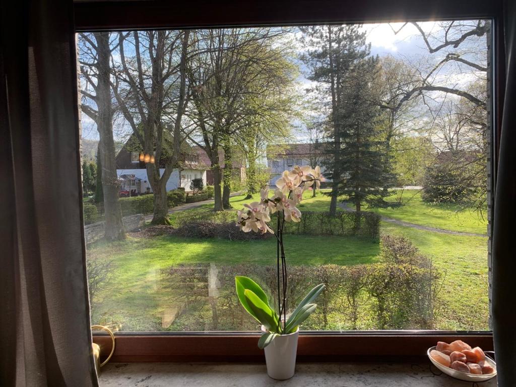 a window with a flower in a vase on a window sill at Ferienwohnung Parkblick in Dransfeld