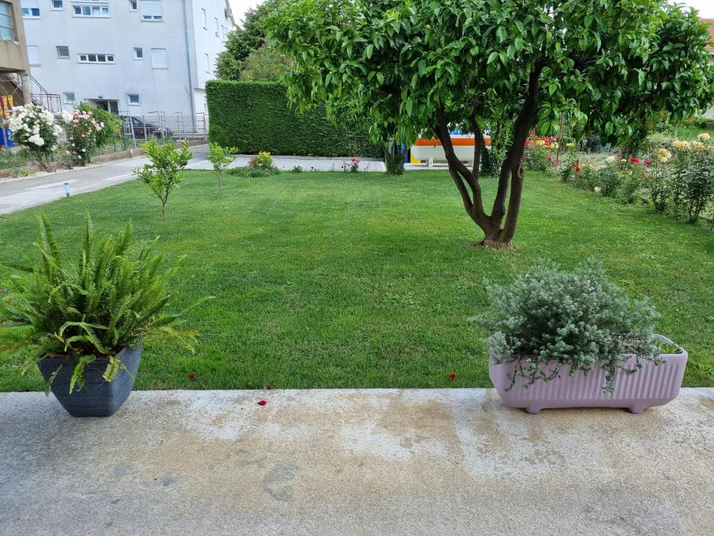 Zahrada ubytování Apartman Galov