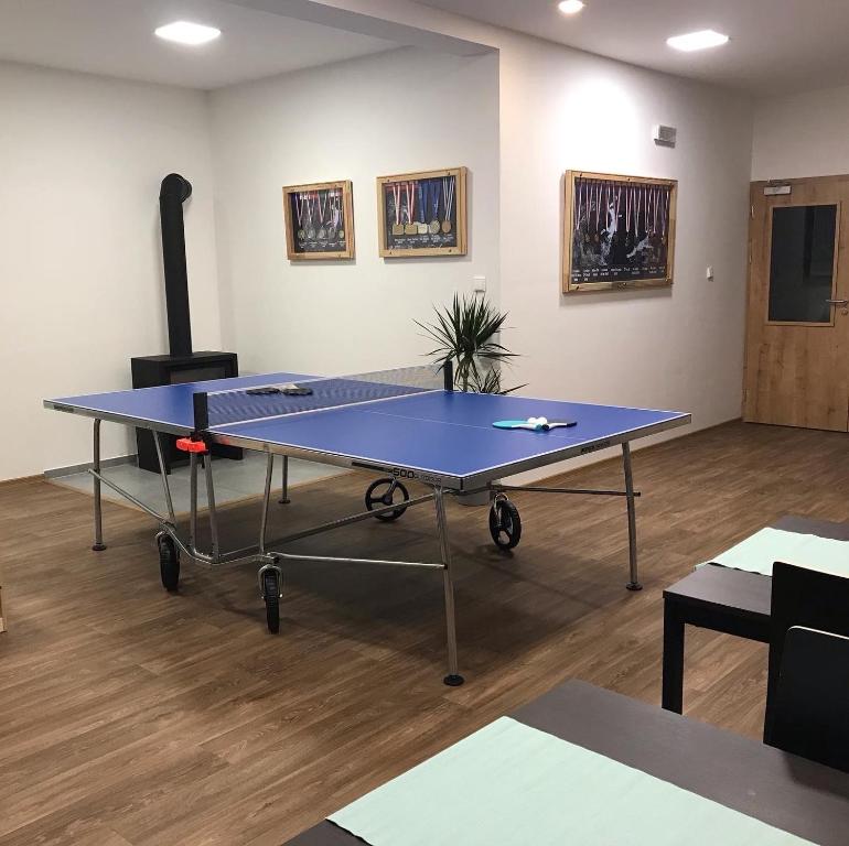 Stolní tenis v ubytování Apartmány Na handě nebo okolí